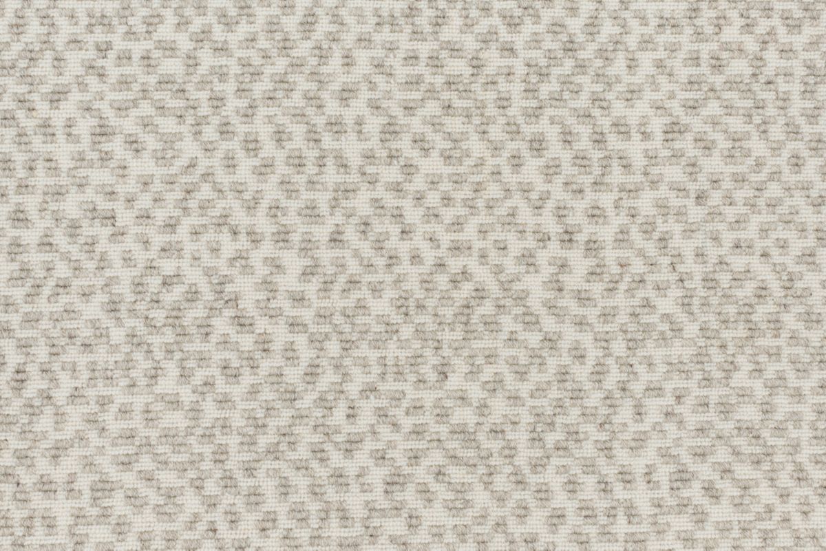 T01006881_CL